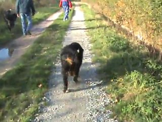 DANA fait des progrès (11)