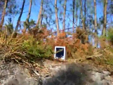 sortie du 13 Novembre 2011