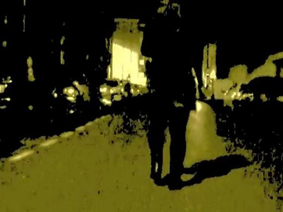Sally - Clip 2010 (leforgeron)