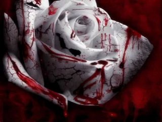 Kan Uykusu Turko Pisko Mustafa Metin Atalay