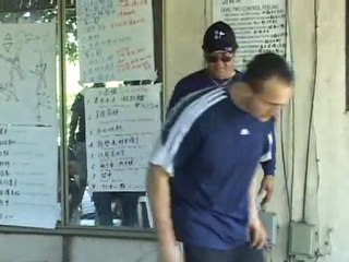 Gary Lam Siu Nim Tao Part 2