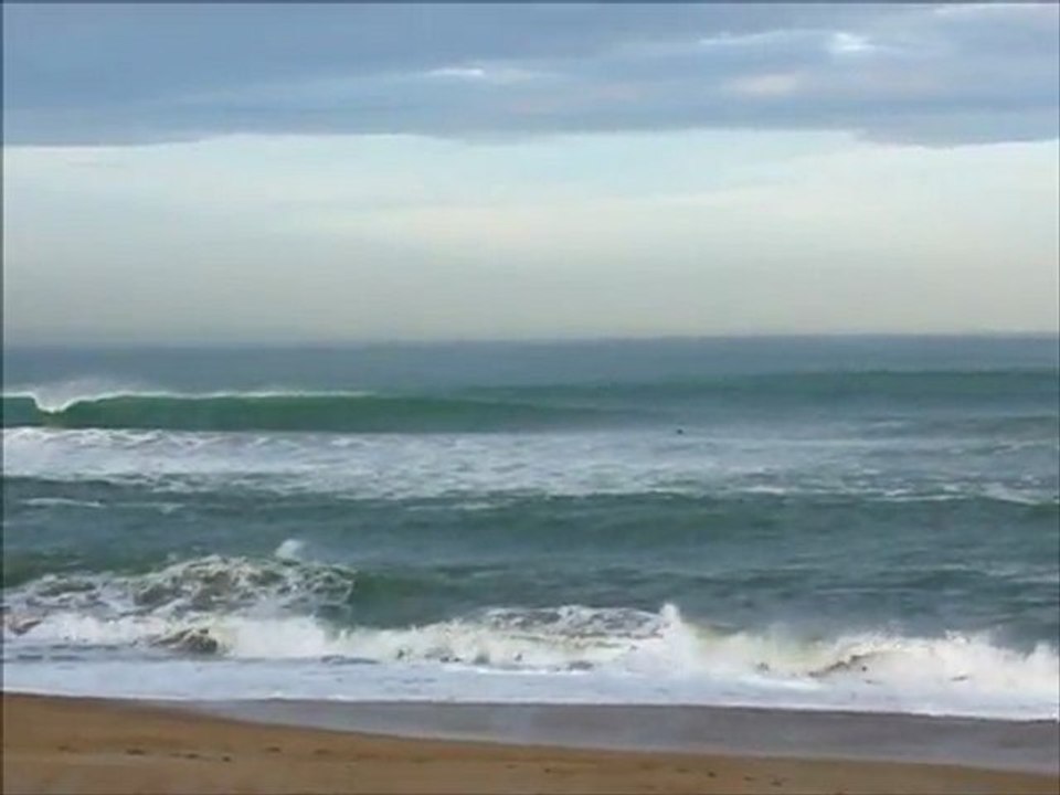 surf report du matin