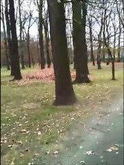 Włóczenie się po okolicy - Wrocław