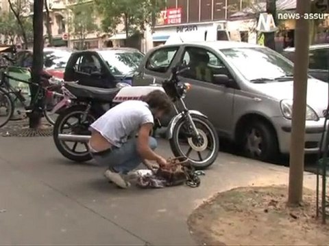 JT : Résultats de la réassurance et actualités en image