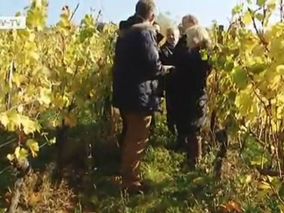 euromaxx highlights | euromaxx