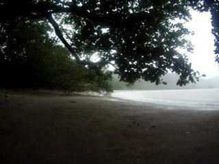 30 secondes d'Australie - Cap tribulation