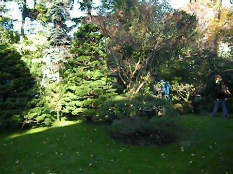 Collections et Jardins Albert-Kahn (Paris, France)