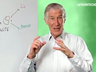 Lucioles et bioluminescence