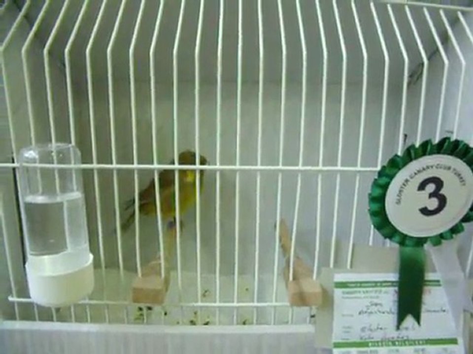 05-KLÜP SHOW 2011 | FESHANE