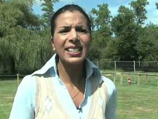 Extrait du documentaire "Couleur politique"