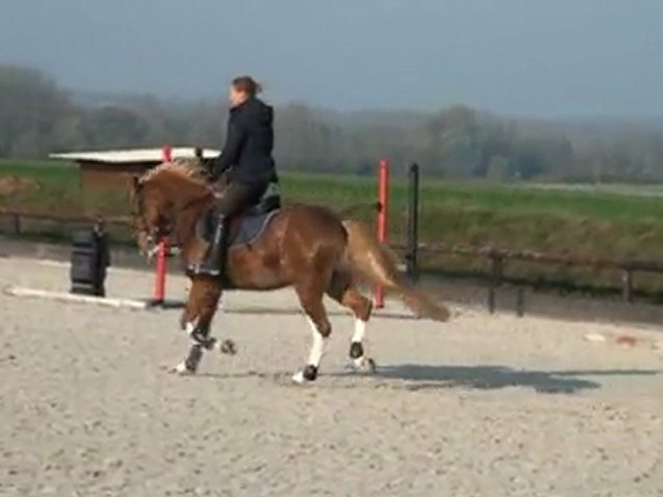 ulk 12-11-11 plat