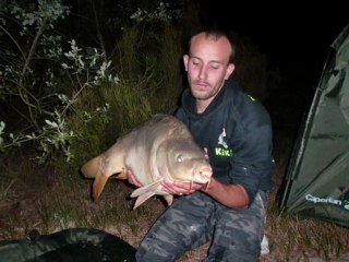 Montage carpe belle-bouche 2011