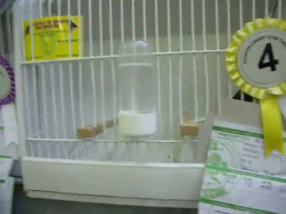 08-KLÜP SHOW 2011 | FESHANE