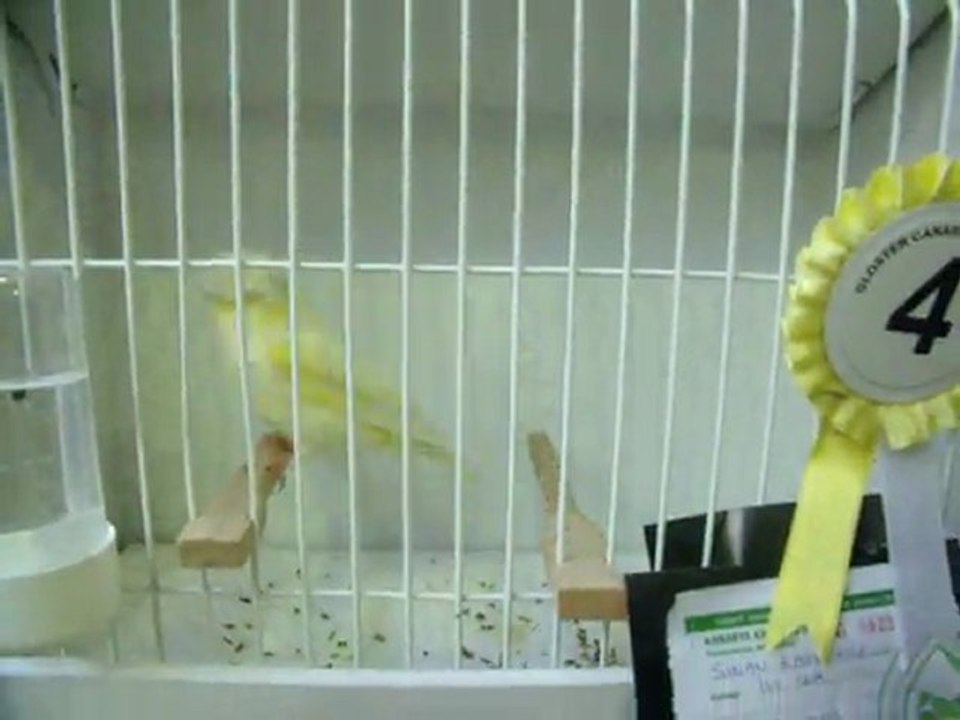 09-KLÜP SHOW 2011 | FESHANE