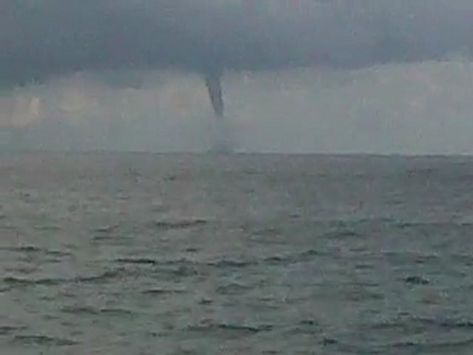 Tromba Marina en Macuto