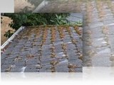 Roof Moss Removal in Portland Oregon ] (503) 473-7936