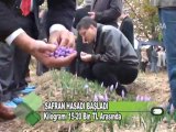 SAFRAN HASADI BAŞLADI 10.11.2011