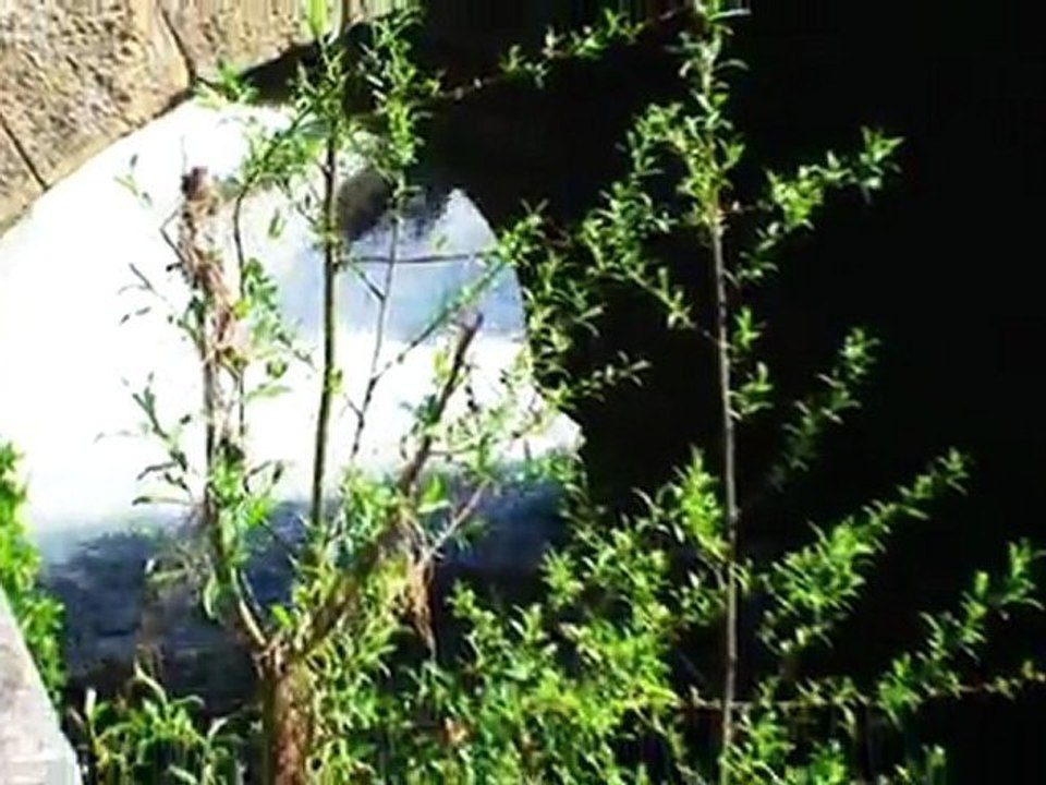 Présentation Cosne-cours-sur-Loire