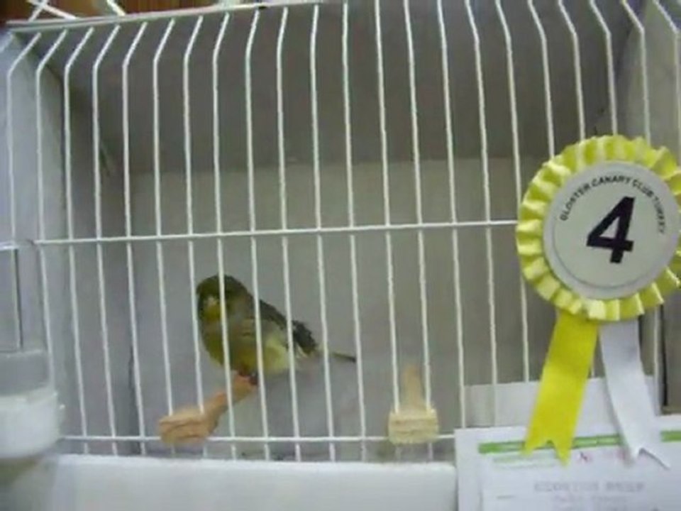 16-KLÜP SHOW 2011 | FESHANE