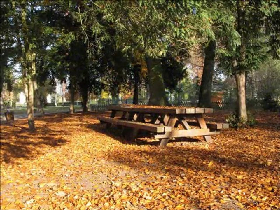 2011 11 12 STRASBOURG ORANGERIE