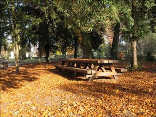 2011 11 12 STRASBOURG ORANGERIE