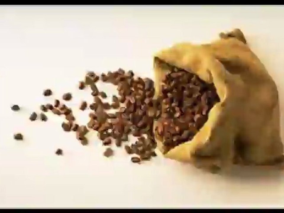 Speedvidéo : La pause café ...