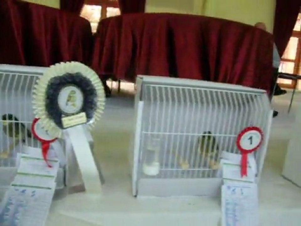 21-KLÜP SHOW 2011 | FESHANE