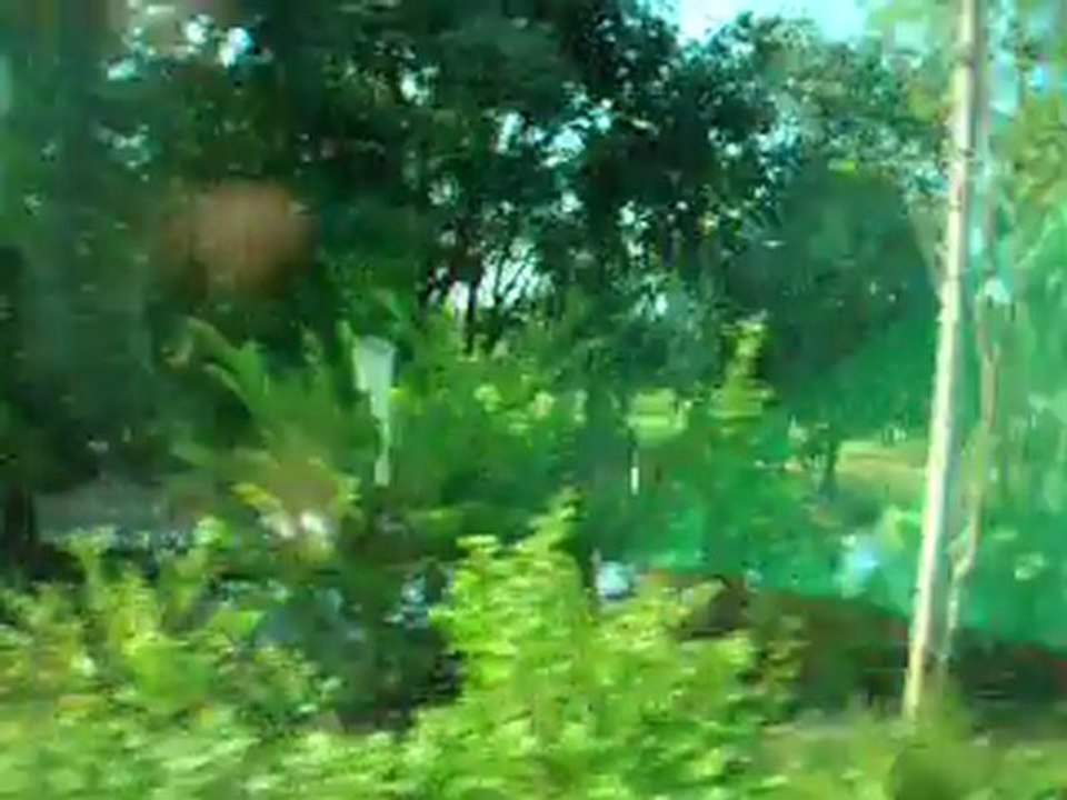Paysage vu du bus
