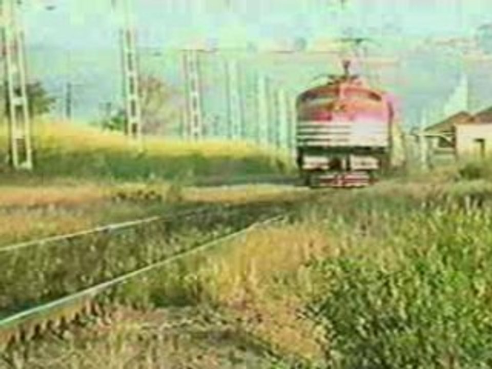 v8_Brasil