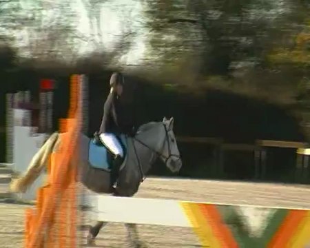 Dimanche 13 Novembre 2011, Ecurie Cyrille Noizat, Club poney 4, Mélissa et Tozzi