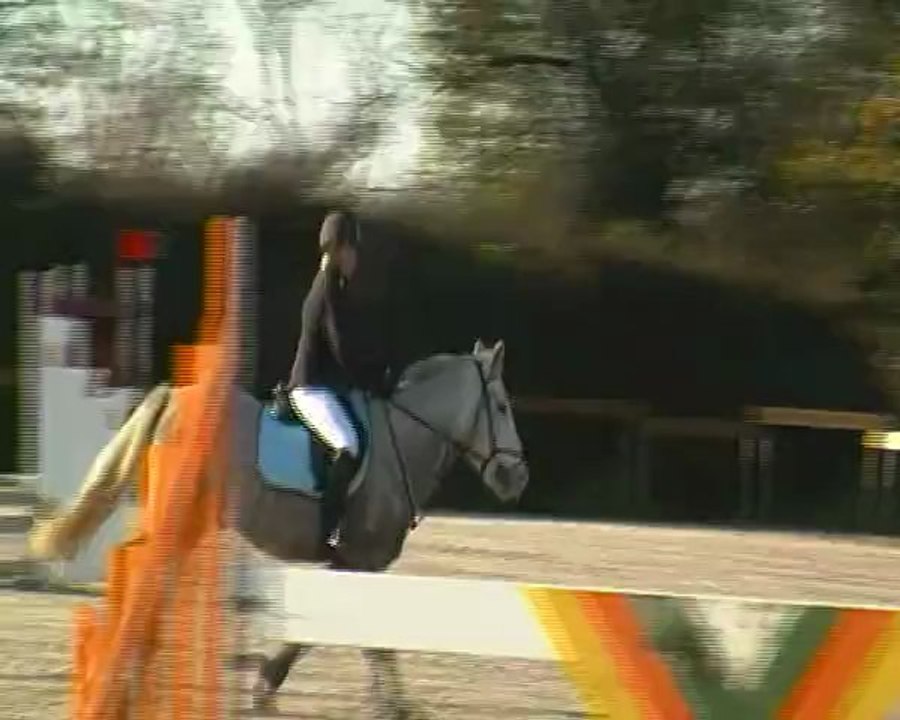 Dimanche 13 Novembre 2011, Ecurie Cyrille Noizat, Club poney 4, Mélissa et Tozzi