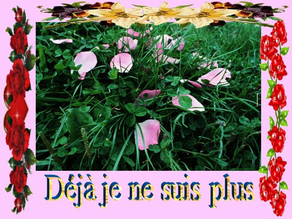 mon amie la rose.....Natacha Atlas