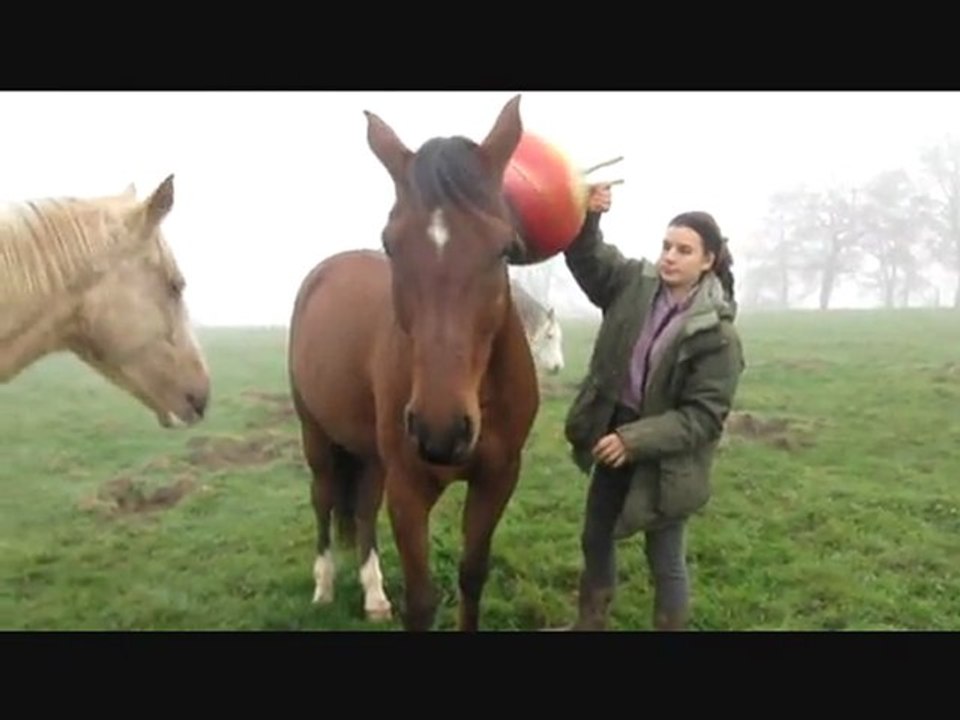 Didi ballon_0001