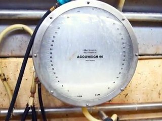 Ladybug And Cafe - 03 - Sylvan Star Cheese Farm