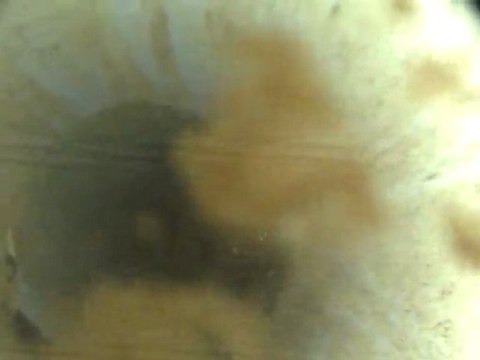 Yavuz yağcı Batı tarmak sondaj kuyu görüntüleri.Görüntü Cengiz Tamkan