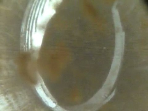 Yavuz yağcı,Batı Tarmak sondaj kuyusu görüntüleri.Çekim Cengiz Tamkan