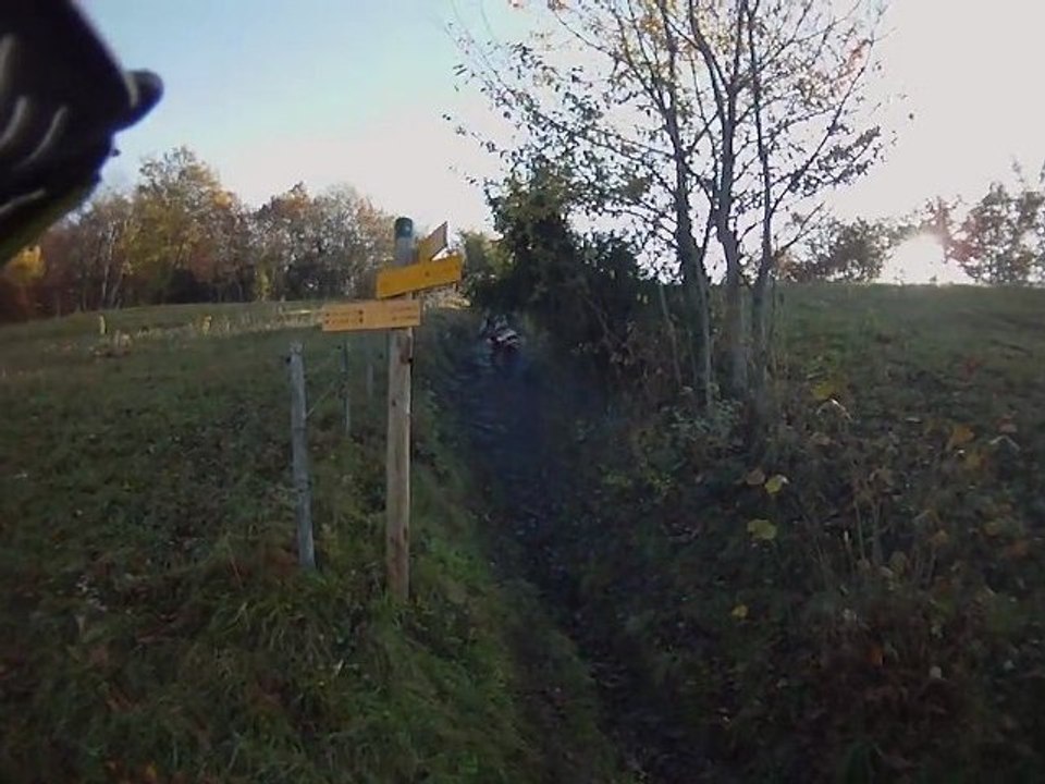 vid1