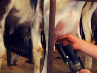 Ladybug And Cafe - 01 - Noble Meadows Farm