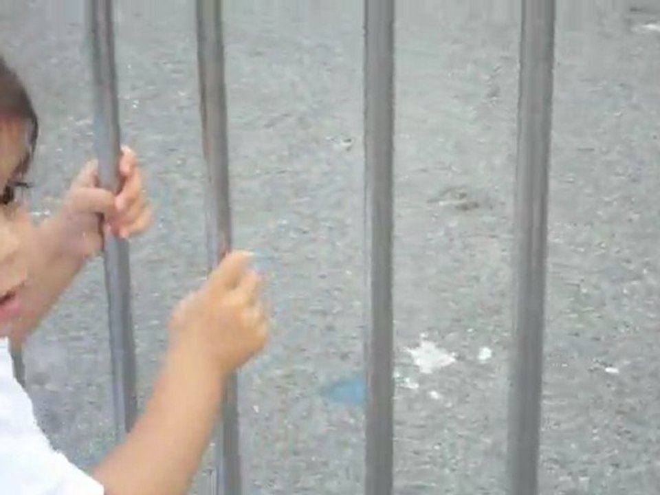 MOV00925
