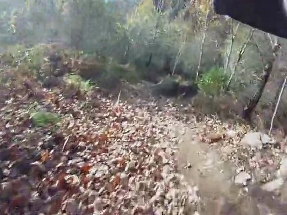 DH - MTB - VTT - Pic du Jer - Lourdes - 2011