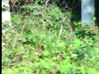 ANADOLUNUN DAVULCUSU HÜSEYİN UZUN KEMANE ŞOVLARI 0536 738 98 20