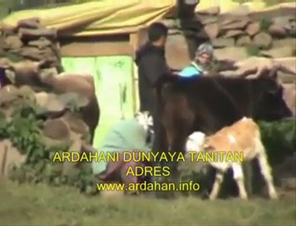 ARDAHAN HOÇVAN TANITIM (TANITIM) MEHMET ALİ ARSLAN Grup