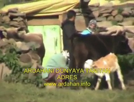 ARDAHAN HOÇVAN TANITIM (TANITIM) MEHMET ALİ ARSLAN Grup