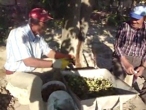 Gülşehir yeşilyurt köyü Celal Güneş dersini almışta ediyor ezber