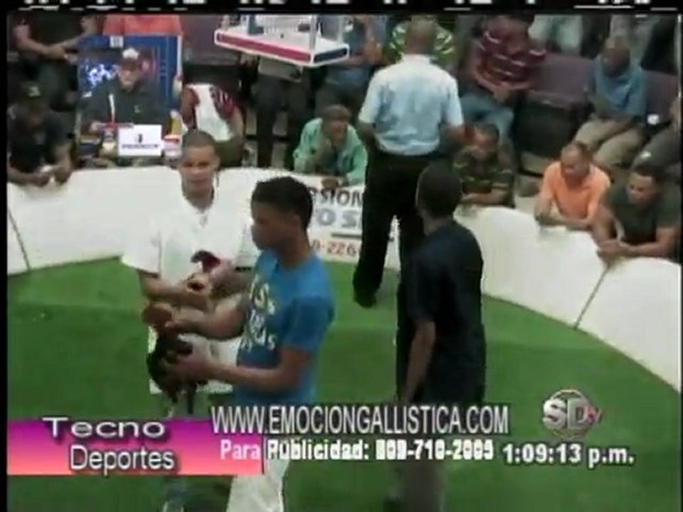 1era Parte Resumen Gallistico Programa TECNODEPORTES VIERNES 11-NOVIEMBRE-2011  POR MANUEL PERELLÓ