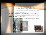 Great Gifts under $25 | Monthly Tasty Magic Coffee Club