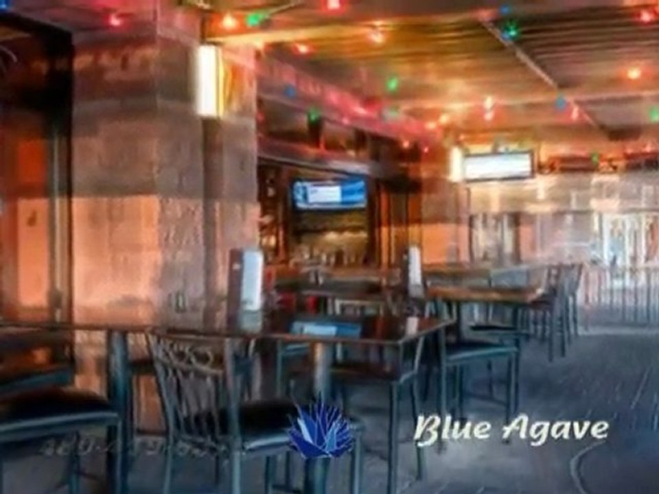 Charisse Flores for Blue Agave