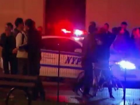 La police évacue le square des anti-Wall Street à New York