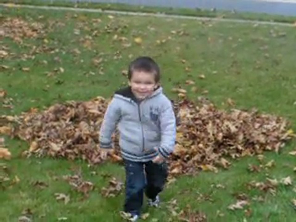 Les enfants et les feuilles