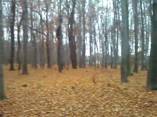 Test HTC Mozart - film mojej okolicy